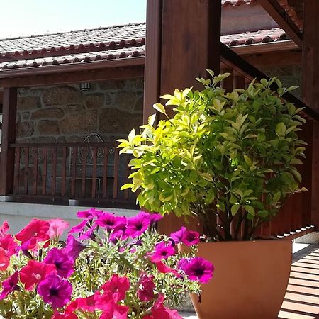 ヴィダゴ Antiga Casa Do Fornoヴィラ エクステリア 写真